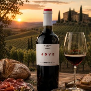 Masroig Les Sorts Jove Tinto
